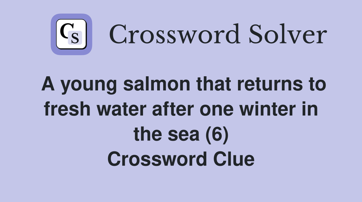 A young salmon that returns to fresh water after one winter in the sea